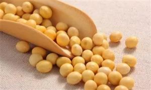 CBOT大豆期貨急漲3% 2020CBOT大豆期貨創四年新高