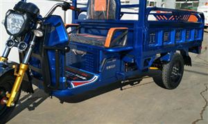 快遞服務(wù)電動三輪車在海口受限 2021年三輪電動車品牌格局將更加明顯