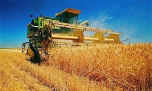 我國糧食產量連續6年保持1.3萬億斤以上 耕種收綜合機械化率達到71%