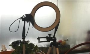 女鞋第一股轉型直播帶貨 2021網絡直播行業市場前瞻分析