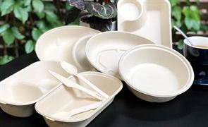 餐具行業深度調研 餐具市場洞察