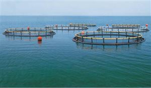 全國水產養殖“三區”劃定完成 2021中國水產養殖行業產量排名