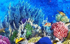 2021海洋生物醫藥產業開發前景 海洋生物醫藥公司最新成果 