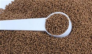 飼料企業掀起漲價潮 近期飼料漲價原因 飼料行業發展前景分析