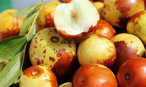 中國冬棗行業現狀及發展前景分析