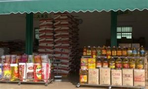 糧油行業發展趨向 糧食市場分析