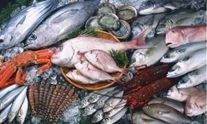 2021冷凍海產品行業發展現狀及前景分析