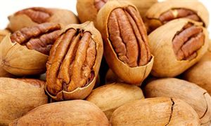 國產碧根果市場空間狹小 碧根果市場行情分析最新