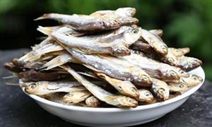 高中畢業的海南小伙賣魚干年賺500萬 魚干市場現狀分析