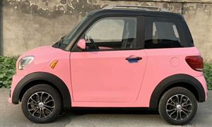 中國低速電動汽車行業現狀及發展前景分析