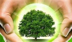 建立健全碳達(dá)峰、碳中和標(biāo)準(zhǔn) 完善綠色發(fā)展標(biāo)準(zhǔn)化保障