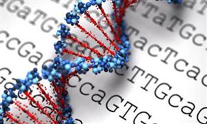 2021基因測序市場份額及基因測序行業研究報告