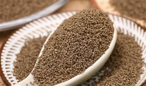 我國水產飼料行業擁有廣闊的發展空間 水產飼料行業現狀與前景