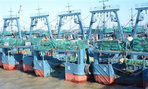 遠洋捕撈行業報告及遠洋捕撈市場調研分析