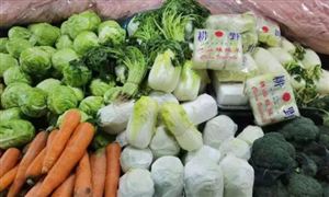 不少地區綠葉菜價格開始明顯回落 蔬菜價格上漲原因