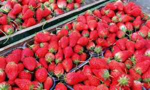 2022批發(fā)零售行業(yè)前景及現(xiàn)狀分析