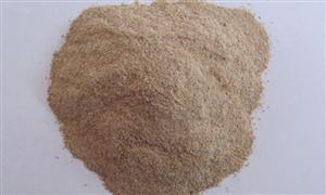 2022生物酶制劑行業前景及現狀