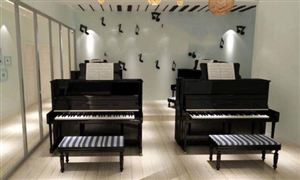 音樂培訓(xùn)市場(chǎng)發(fā)展現(xiàn)狀 音樂培訓(xùn)行業(yè)調(diào)研報(bào)告