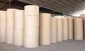 2022漿紙行業市場現狀及發展前景分析