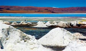 鋰精礦下游投資加速未來市場有保障 全球鋰市場現狀及發展趨勢分析