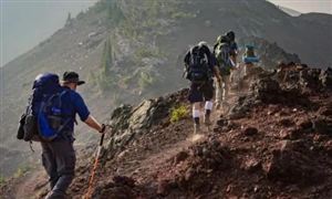 上海暫停跨省團(tuán)隊旅游 2022世界醫(yī)療旅游規(guī)模將達(dá)9190億美元