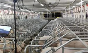 智慧養殖市場調研 2022智慧養殖行業前景及現狀報告分析