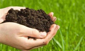 鹽堿地怎么改良土壤？鹽堿地的形成原因分析 土壤修復行業發展前景預測