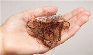 營(yíng)養(yǎng)不良是脫發(fā)的重要原因 防脫生發(fā)行業(yè)調(diào)研與防脫生發(fā)行業(yè)前景分析