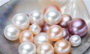 淡水珍珠收購價漲至500元/斤 2022淡水珍珠行業發展現狀及趨勢分析