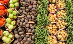 疑似張同學成立農業發展公司 農副產品食品行業現狀分析