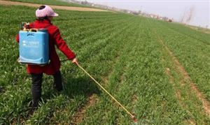 除草劑行業現狀分析 除草劑市場調研報告