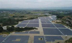 生物質(zhì)發(fā)電將穩(wěn)步發(fā)展 生物質(zhì)能發(fā)電行業(yè)發(fā)展現(xiàn)狀分析