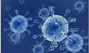 張文宏談中國應對奧密克戎 抗體藥物研發線路能跟上病毒變異 抗體藥物市場預測