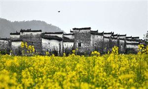 浙江省鄉村旅游行業市場發展現狀及投資前景分析