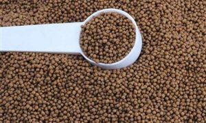 2022年飼料行業(yè)現(xiàn)狀及發(fā)展前景分析