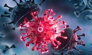 奧密克戎或改寫2022年 奧密克戎病例住院概率降低80% 今年春節還能回家過年嗎?