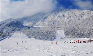 冰雪旅游專項調查 2022冰雪旅游市場需求行業分析