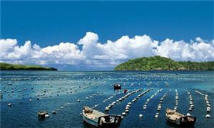 農業農村部：到2025年漁業產值達到15000億元?到2035年基本實現漁業現代化