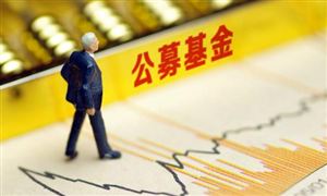 公募基金2021年分紅總規模近3000億 基金分紅類型分析