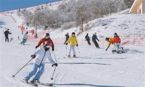 預(yù)計到2025年我國冰雪旅游人數(shù)將超5億人次 冰雪旅游供給分析