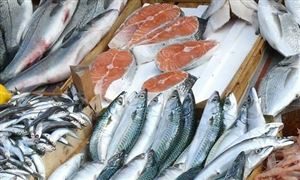 福建水產品出口連續(xù)9年居全國第一 水產品行業(yè)發(fā)展前景分析