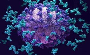 世衛(wèi):奧密克戎亞變體傳染性增30% 傳染病醫(yī)院建設(shè)需要繼續(xù)發(fā)展