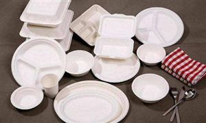 2022塑料包裝材料市場(chǎng)調(diào)研分析及塑料包裝材料行業(yè)報(bào)告