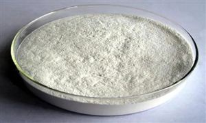 2022年變性淀粉行業發展前景及市場需求分析