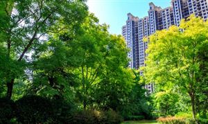 中國城市園林綠化面積 城市園林綠化市場增長空間分析