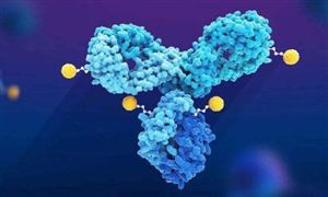 國內雙抗新藥研發市場爆發 抗體藥物市場規模與未來前景預測