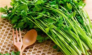 今天是世界討厭香菜日 全球大約有15%的人不吃香菜