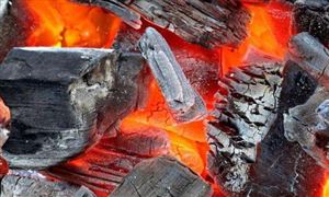 木炭行業市場規模 木炭行業現狀分析