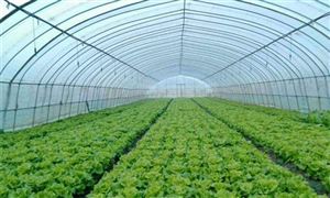 2022溫室大棚行業(yè)發(fā)展趨勢及市場現(xiàn)狀分析