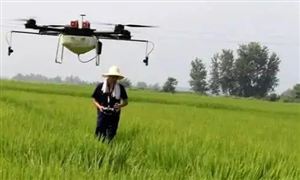 2022年生物農(nóng)藥行業(yè)現(xiàn)狀及發(fā)展前景分析